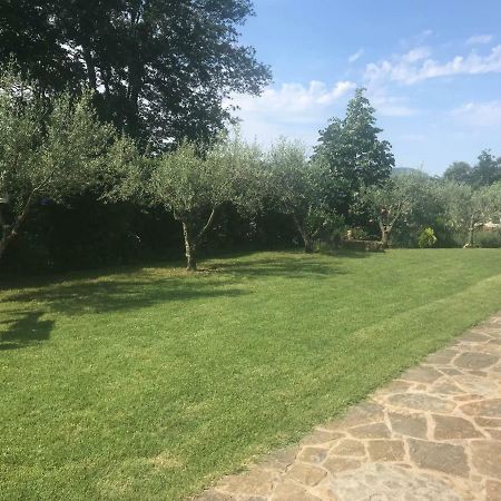 Apartments Vidovic Cezarji Экстерьер фото